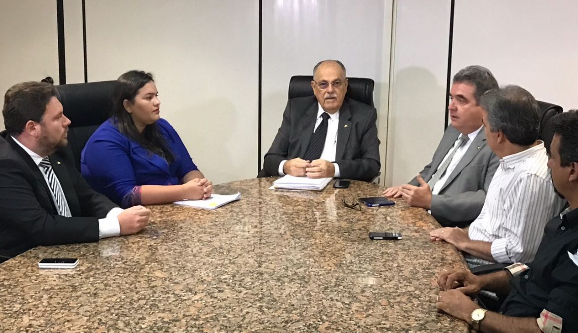 Michele Collins na Comissão Especial de revisão da Lei Orgânica